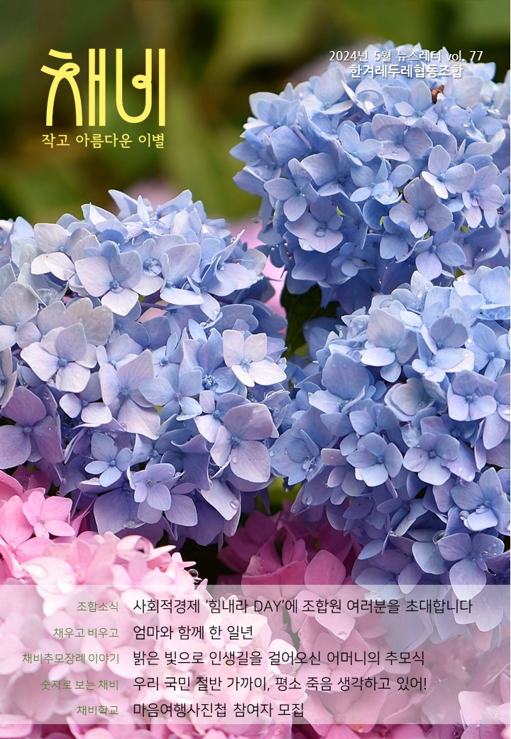 채비 뉴스레터 Vol.77 이미지