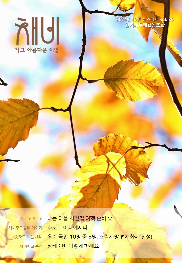 채비 뉴스레터 Vol.80 이미지